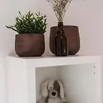 M.f. *